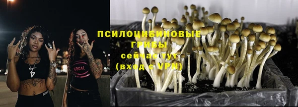 хмурый Касимов