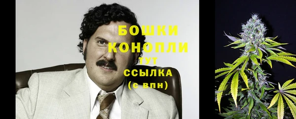 MESCALINE Карпинск