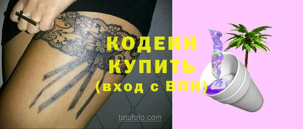 спиды Каменка