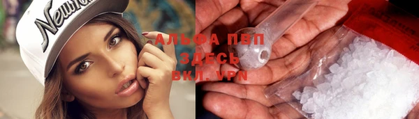 спиды Каменка