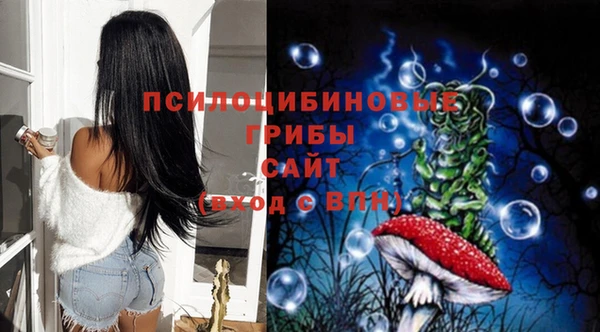 хмурый Касимов