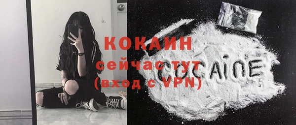 спиды Каменка