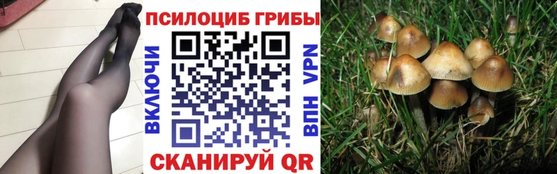 Псилоцибиновые грибы мицелий  Краснокаменск 