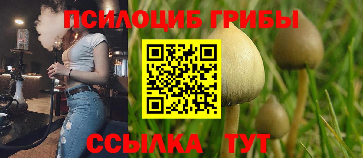 Галлюциногенные грибы Cubensis  Вход с VPN  Краснокаменск 