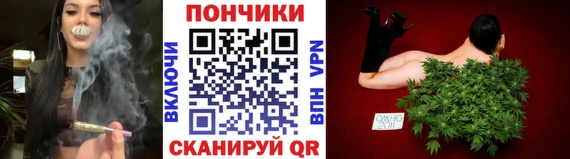 Бошки марихуана сатива  Краснокаменск 